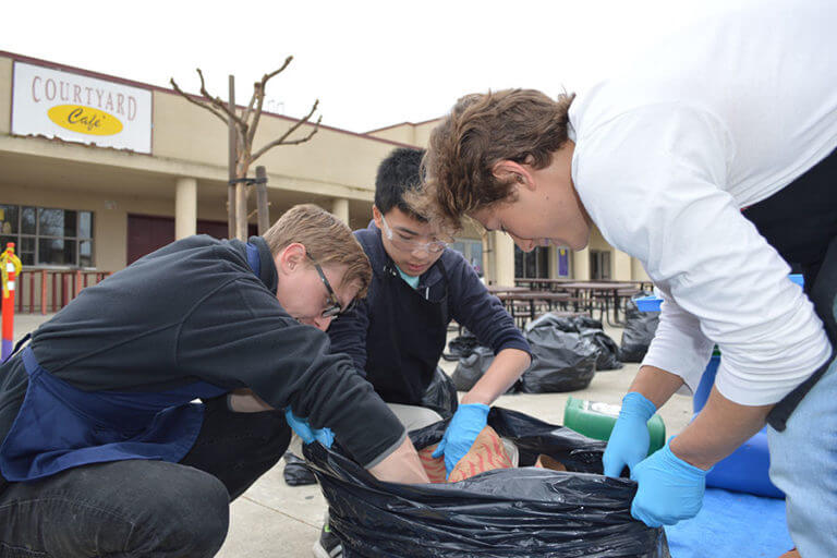 Mission - Go Green Initiative