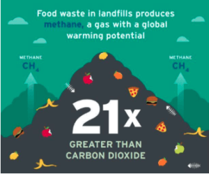 Food waste in landfills produces methane, a gas with a global warming potential 21x greater than carbon dioxide.